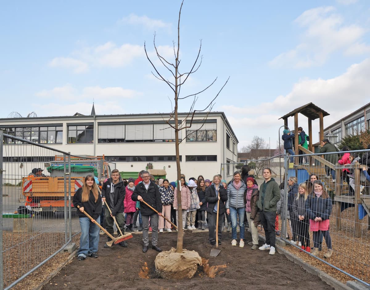 Ein Klimabaum für die Evangelische Grundschule Meckenheim